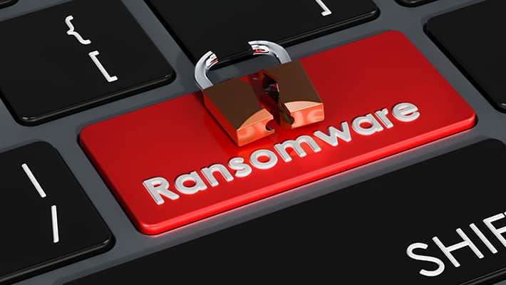Ransomware safe portals